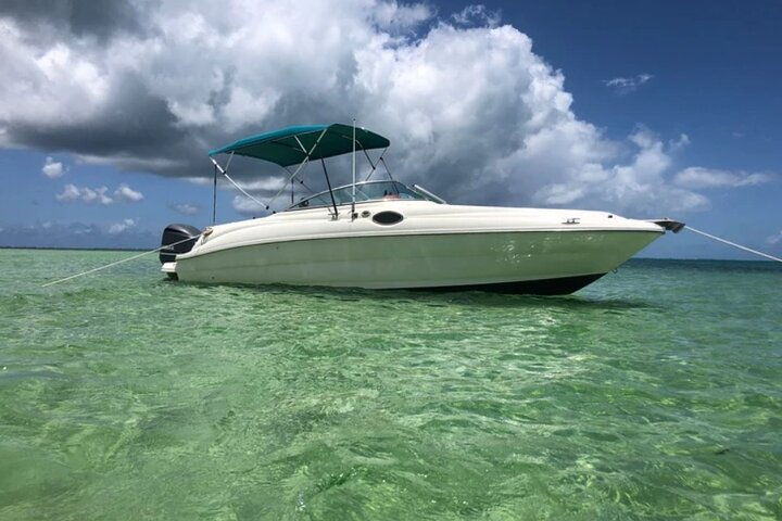 Private Half-Day Charter to Stingray City, Starfish Point and Snorkeling Tour - Photo 1 of 3